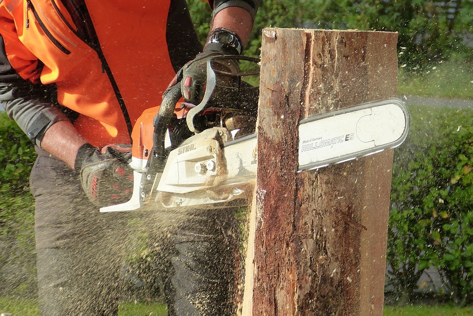 Chainsaw Buying Guide, Buying a Chainsaw