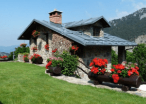 home lawn